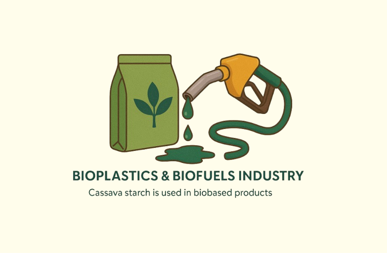 Bioplastics and Biofuel Sector
